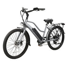 New Model 500-750W Electric City Bike